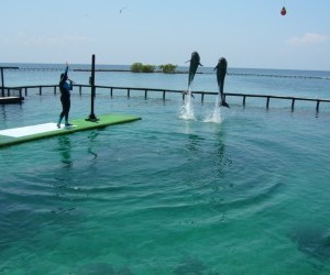 Aquarium (Oceanario) in Islands of Rosario.  Source: Alicia Hinostroza Castillo